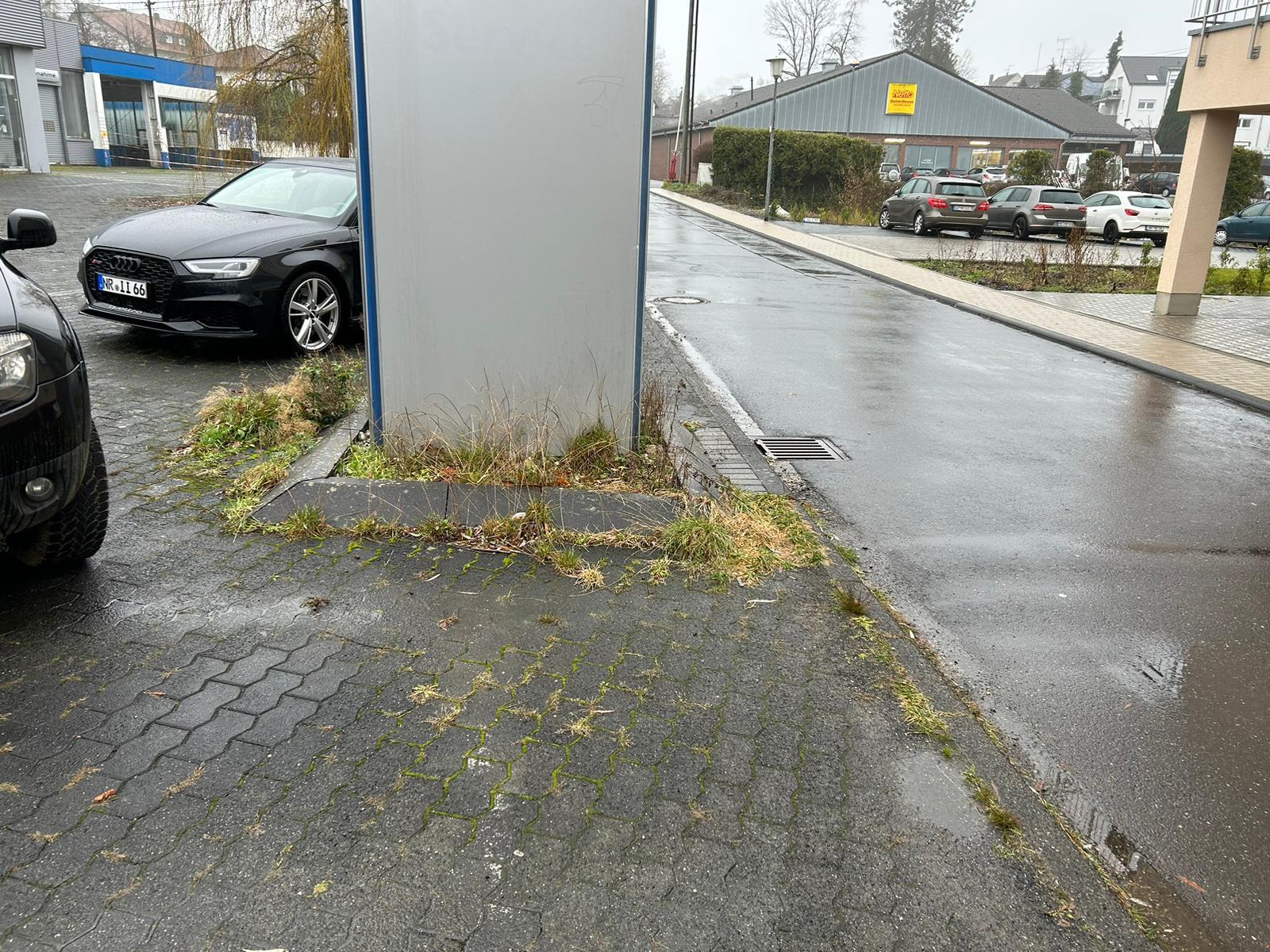 Gartenpflege Projekt 14