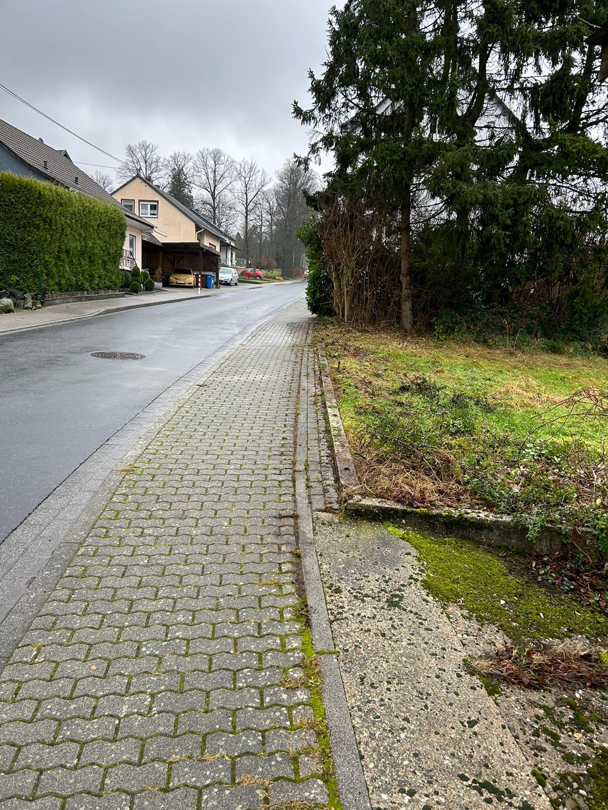 Gartenpflege Projekt 15