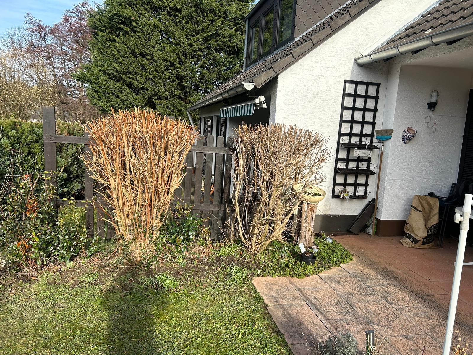 Gartenpflege Projekt 18