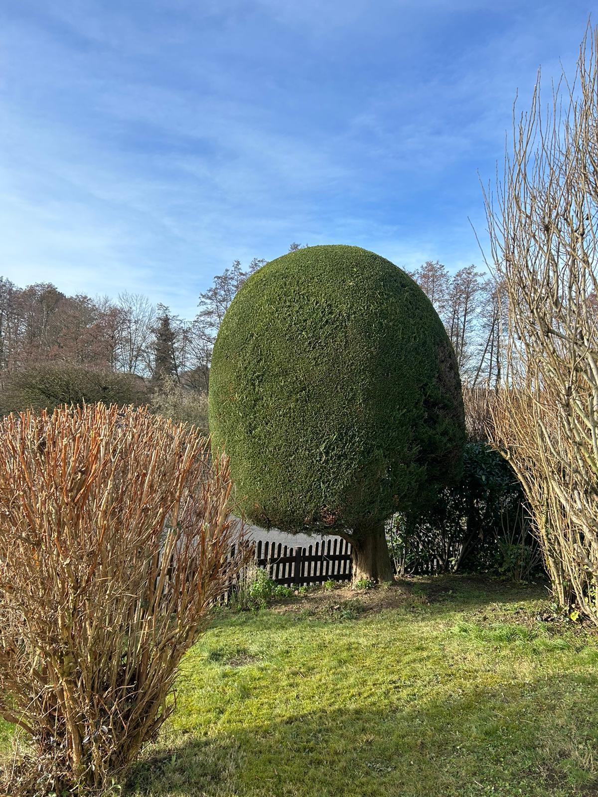 Gartenpflege Projekt 20