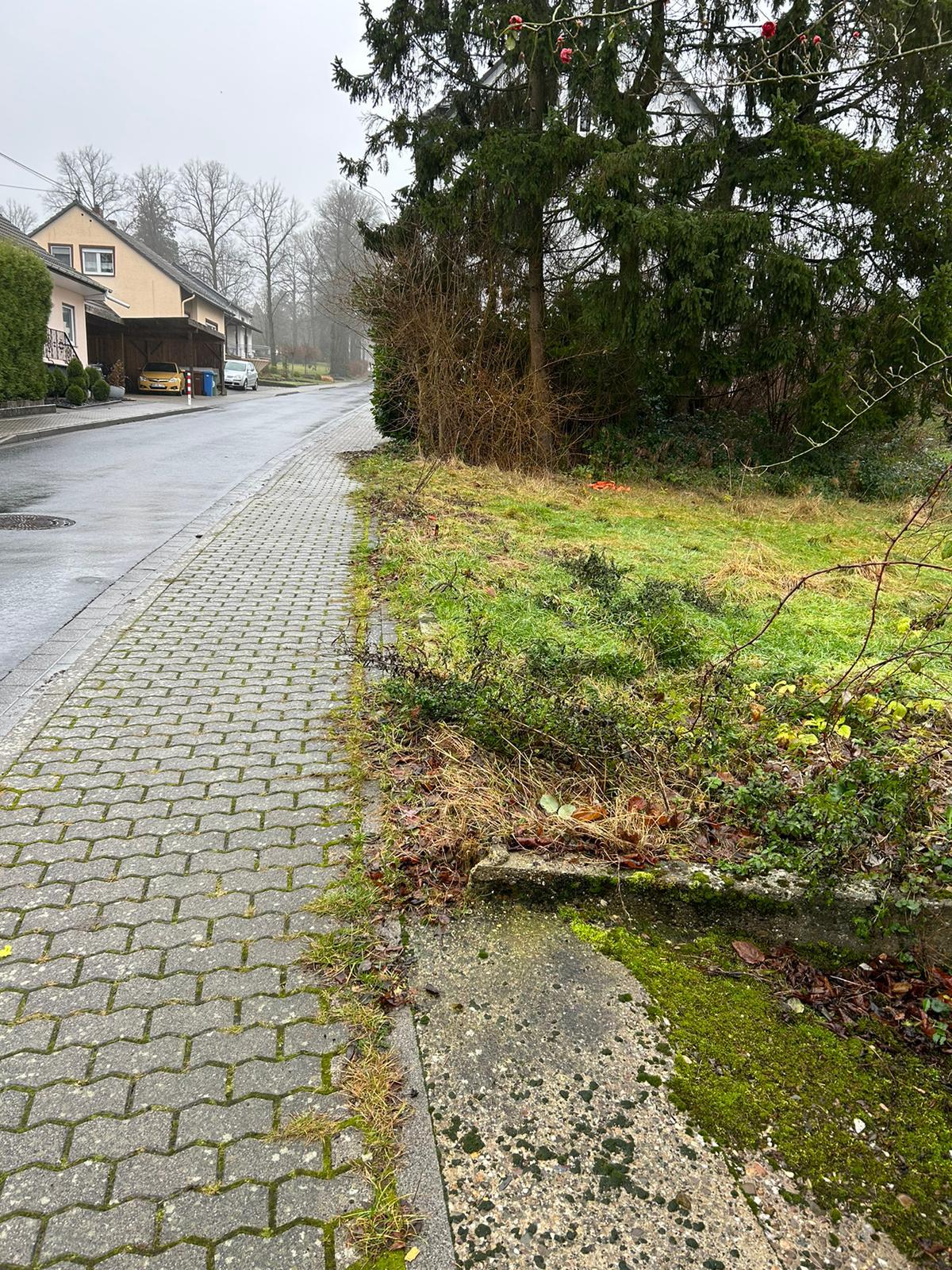 Gartenpflege Projekt 21