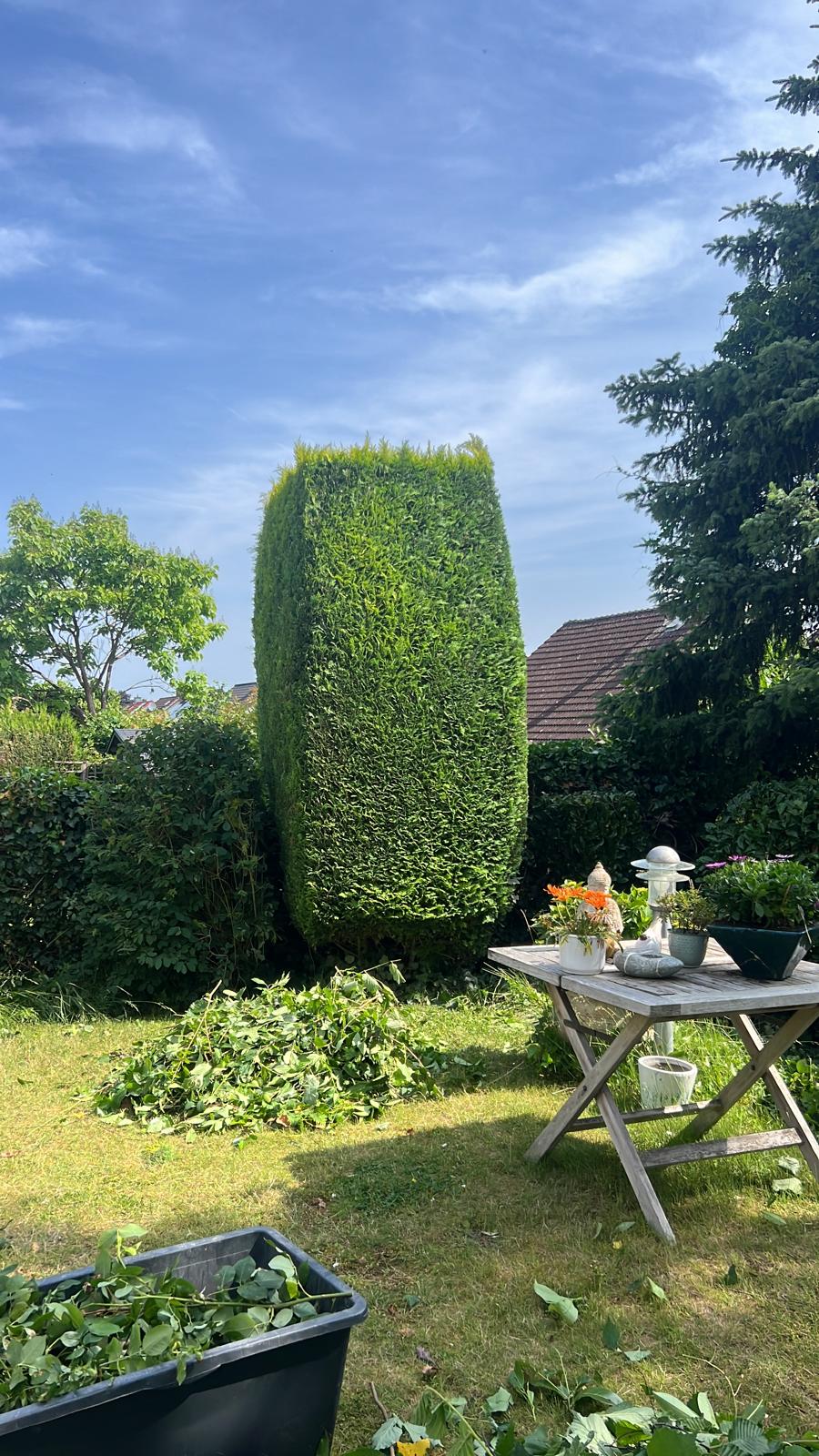 Gartenpflege Projekt 34