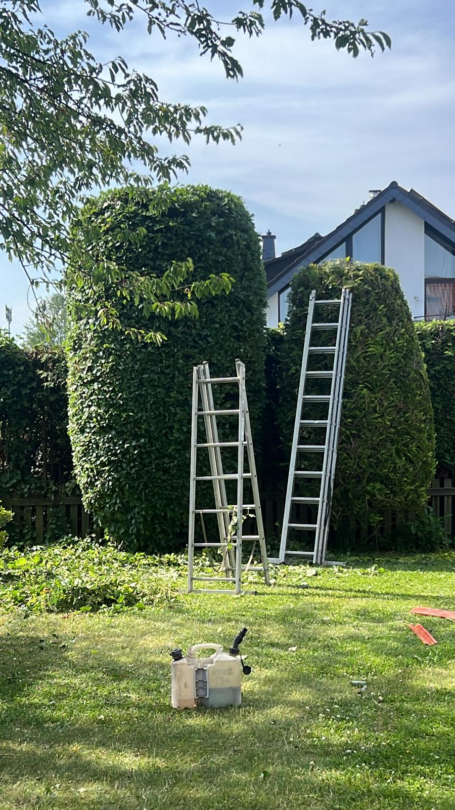 Gartenpflege Projekt 35