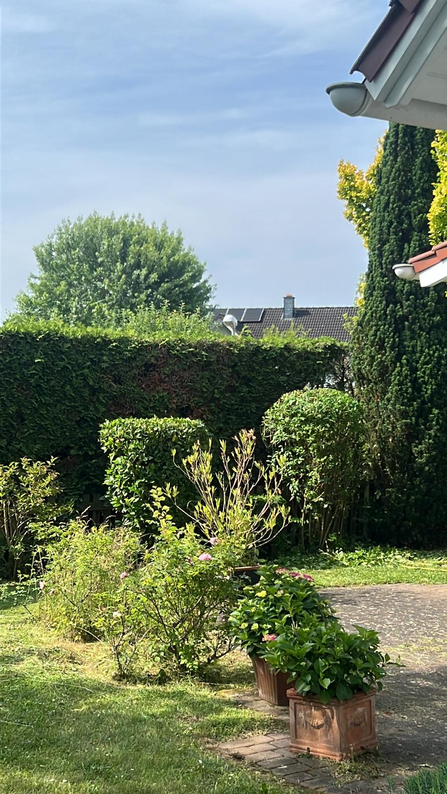 Gartenpflege Projekt 37