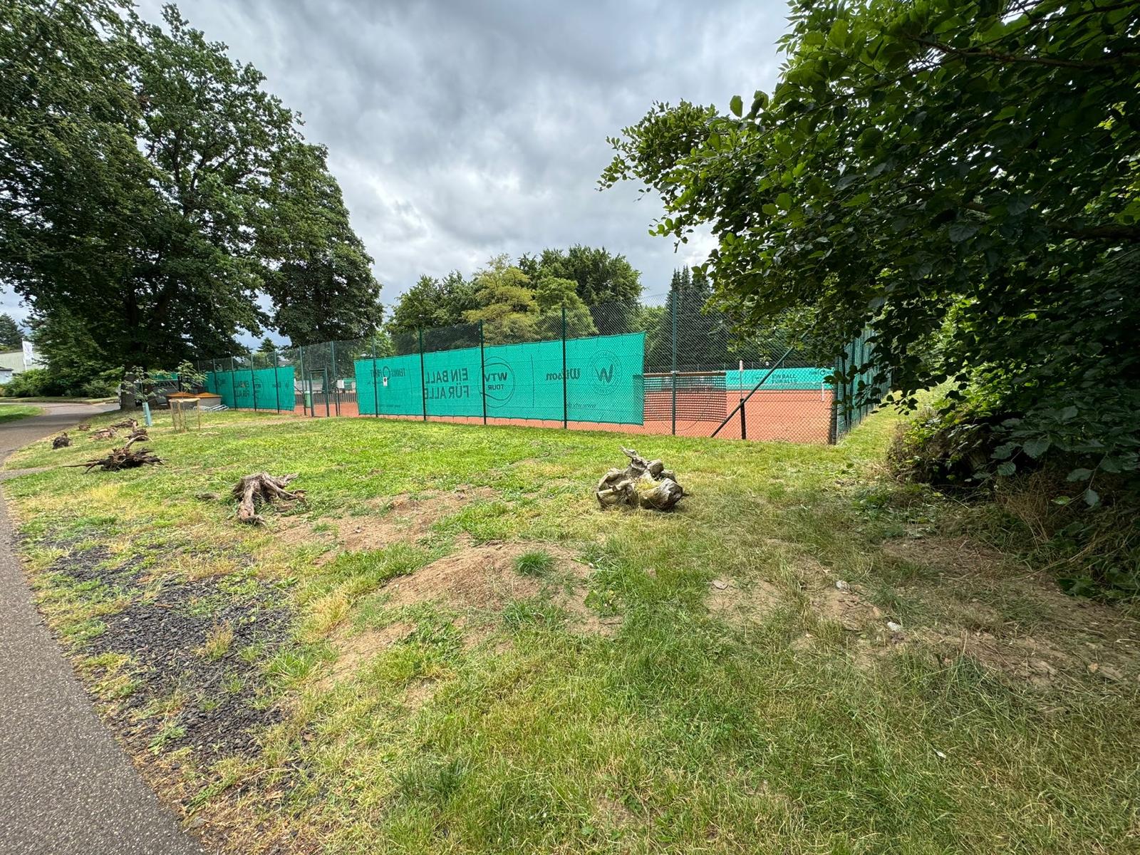 Gartenpflege Projekt 41