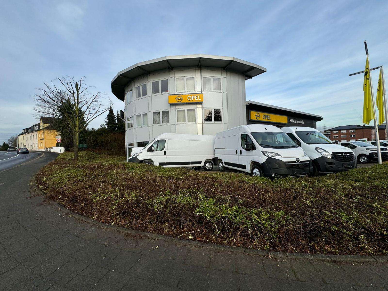 Gartenpflege Projekt 44